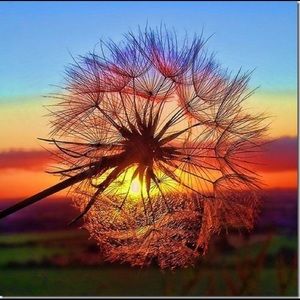 Meet your Posher, Marge